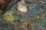 Colorful, Polished Mookaite Jasper Section - Australia #132410-5